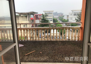 松江區廠房出租 獨棟