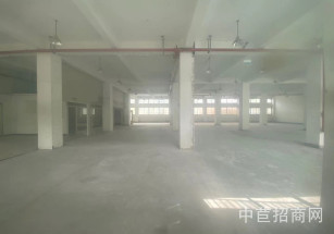 普陀鐵三角科技園普陀桃浦 獨棟廠房4000平 適合辦公 生產 研發