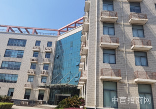 松江新橋22.5畝獨(dú)院新橋22畝獨(dú)門獨(dú)院廠房出售，50年產(chǎn)權(quán)，104地塊