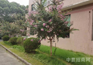 洞涇振業路廠房出租洞涇，104板塊 多層廠房出租，貨梯2噸小面積可分租