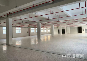 小昆山三層廠房出租松江小昆山500平廠房出租，環氧地坪，適合各類業態