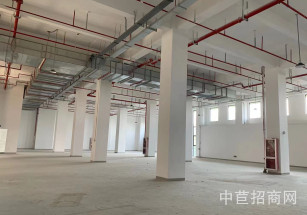 松江新橋新格路五層廠房新橋新格路2000平廠房，層高7米，可環評，近滬昆高速