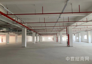 松江新橋新格路五層廠房新橋新格路4000平廠房，可環評，近滬昆高速，生產研發倉儲