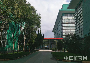 微衡集團(tuán)-浦東南蘆公路浦東南蘆公路雙層廠房出租 層高6米 可分割可環(huán)評