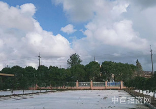 微衡集團(tuán)-浦東南蘆公路浦東 廠房出租 每層6米 2萬平可分割 配電高