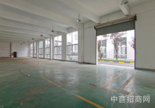 北松公路6638號車墩104地塊雙層獨棟無立柱廠房出租 1320平