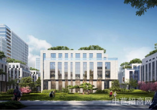 奉賢保集生物醫藥產業園奉賢1135平獨棟廠房出售，層高7.2，近5號線和萬達廣場