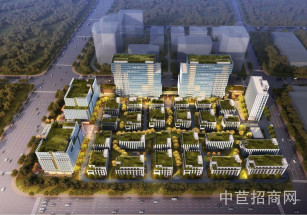 奉賢保集生物醫藥產業園奉賢南橋生物醫藥產業園2160平獨棟，適合研發辦公輕生產