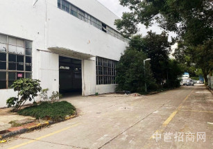 滬閔路1201號閔行獨棟單層廠房出租 無立柱 104