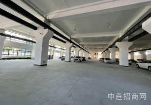 上海納特汽車標(biāo)準(zhǔn)件有限公司閔行獨(dú)門獨(dú)院104廠房出租 可環(huán)平 底樓
