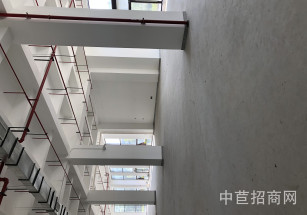 富立康控股集團大廈浦東新區(qū)五層廠房出租 獨門獨院 一層