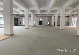 泗涇鎮九干路259號