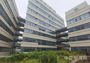 抱家燕匯谷智慧產(chǎn)業(yè)園莘莊工業(yè)區(qū)廠房底樓出租 可環(huán)平可注冊(cè)