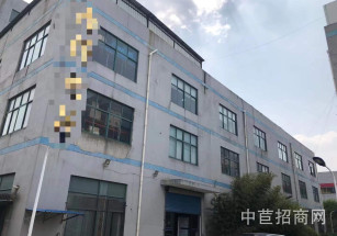 松江新橋獨棟廠房新橋獨棟廠房出售，104地塊，獨立產證，近新橋高速口
