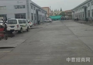 新浜鎮(zhèn)紅牡丹路