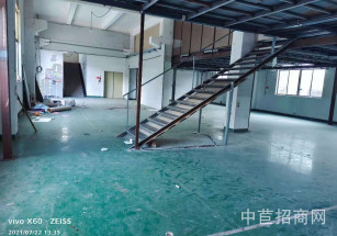 西渡四層獨(dú)棟廠(chǎng)房