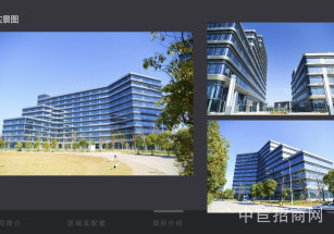 臨港國際生命健康城1期A區