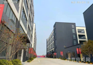 標龍藍色美谷滬蘇通大橋旁現房工業廠房 產業無限制 