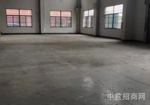 青浦滬青平公路