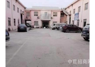 松江新橋申港路單層廠房出租