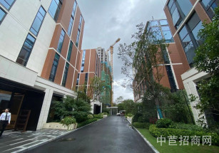 深城投—力波項目