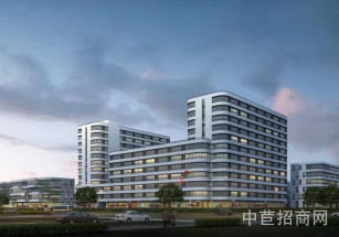 安通智匯谷湖州環保創新園獨棟可環評，通燃氣 首付3層 50年一樓8米工業用地