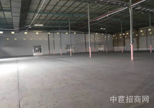 奉賢青港林海公路