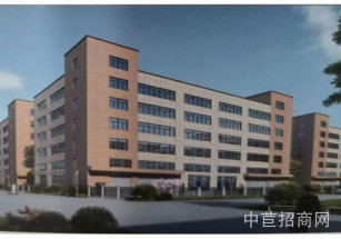 江蘇（丹陽）萬洋眾創城江蘇獨院定制廠房出售 無稅收要求 可分層出售