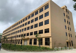 奉賢柘林廠房出售