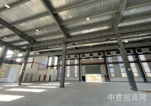 松江大港單層廠房出租