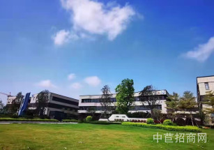 中南高科-宜昌智能制造產業園中南高科強勢登陸，伍家崗智能制造產業園多層獨棟花園式廠