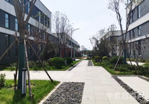 中南高科產業園 （東西湖區）武漢獨棟廠房出售 價格可談可環評