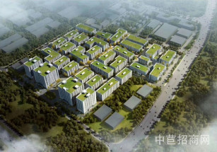 中南高科產業園 （東西湖區）獨棟廠房出售 武漢廠房新廠房出售 50產權 4成首付