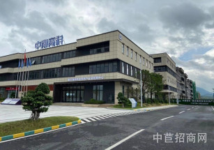 中南高科產業園 （東西湖區）獨棟鋼結構廠房出售 標準廠房三層廠房出售