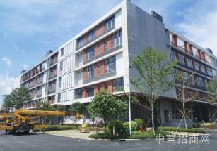 中南高科?智車港中南高科品牌園區，佛山獨棟三層廠房出售，首層8.1米