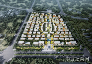 金科·固安智慧科技城