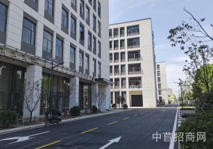 聯東U谷 武漢經開科技創新谷四層獨棟廠房出售 研發生產辦公廠房出售 武漢廠房出售