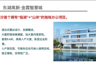 東湖高新?金霞智慧城湖南長沙整層小面積工業廠房出售 有產證