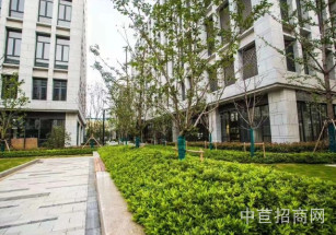 洪山生態科技產業園（湖北 武漢）獨棟研發中心廠房 可辦公可生產 稀缺小戶型廠房層高7.2米