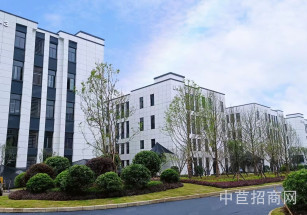 鄂州宏泰長江智匯港 智能制造單層廠房出售 面積2000平 熱銷戶型廠房出售