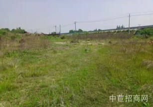 德陽市什邡市禾豐鎮(zhèn)18畝土地