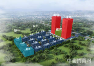 天津塞恩AI國際項目