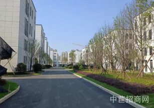 持重-西部智能家居產業城 多層獨棟廠房出售 框架結構廠房出售 免稅政策