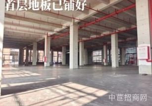 清遠廣清產業園廣州北稀缺通燃氣廠房出售，首付2成起，按揭十年貸款，獨立產權