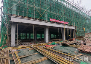 希望同云智谷（高新）園區 （成都郫縣）框架結構單層廠房出售 電子信息 集成電路無污染行業