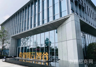 大陸希望智谷（天府）園區50年工業土地獨棟廠房出售 節能環保新能源廠房出售 精密加工行業廠房出售