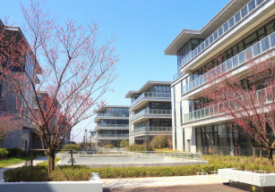 國測（蘇州）智慧城市產業化基地蘇州工業廠房出售 四層雙拼