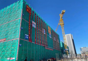 中南高科-京南科技智谷廊坊5000平獨棟出售 高科技行業(yè) 航天信息