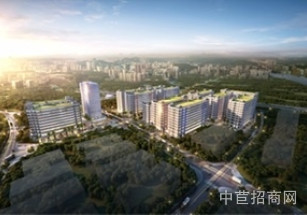 中建國際?智造未來港順德廠房出售，均安高標廠房出售，配套設施齊全