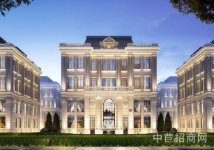 滁州·復創國際產業園法式獨棟，雙層廠房，園區直招，可環評貸款 底樓8米